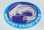 Primary Raster logo